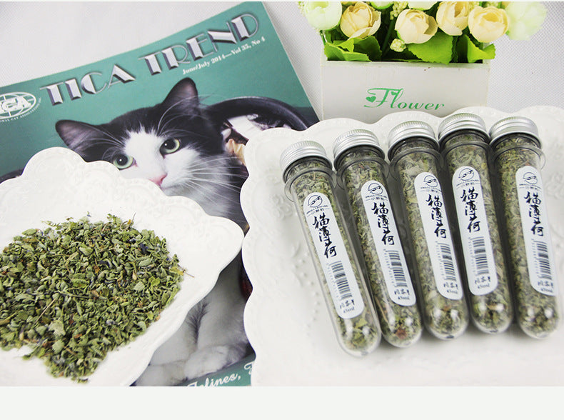 KFX-0664765 Catnip Mint Leaves for Cats – Natural Stress Relief, Hand-Picked Nutrients for Feline Enjoyment