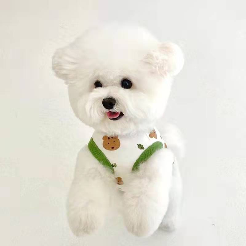 KFX-0666685 Lightweight Summer Vest for Small Dogs with Adorable Squirrel and Bear Designs