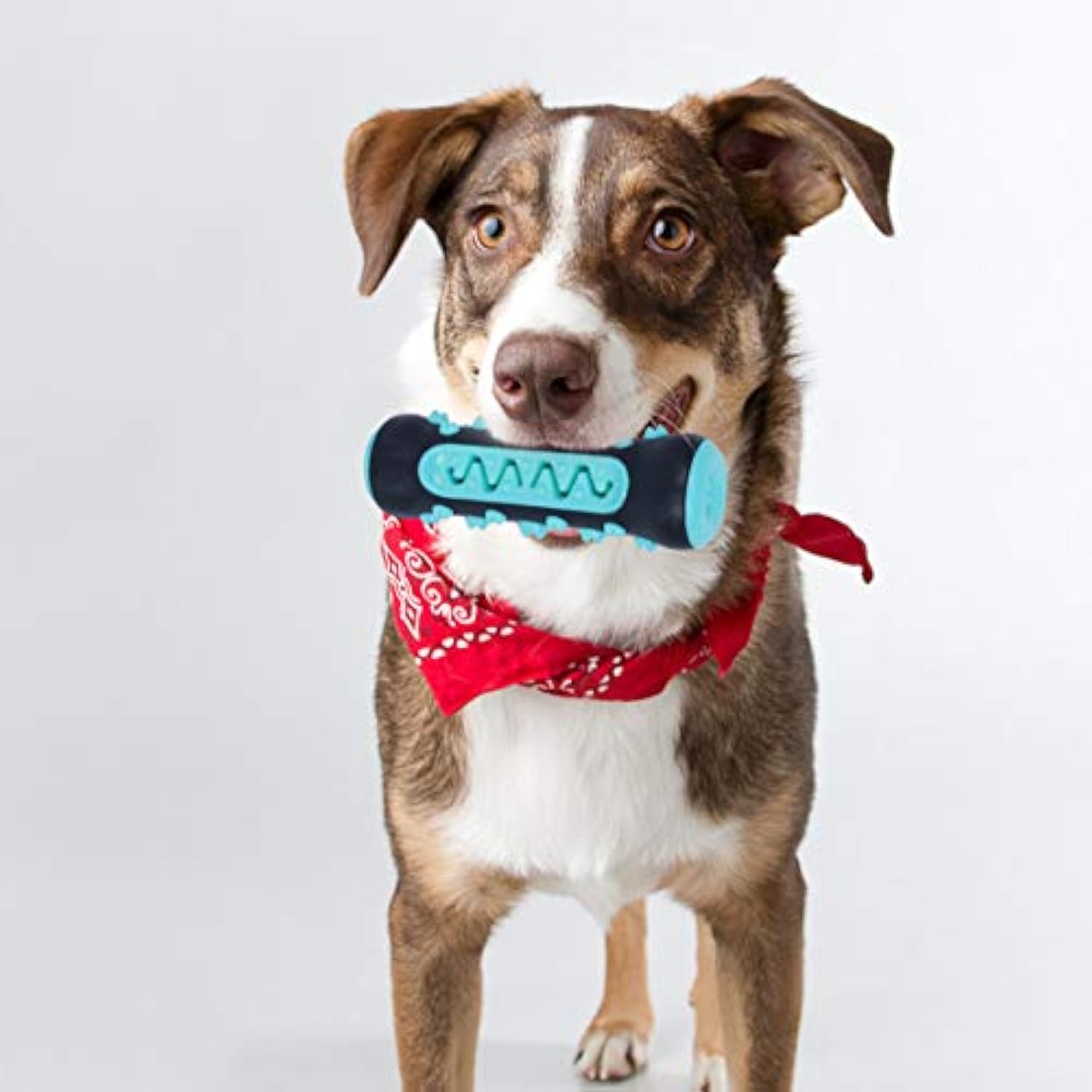 KFX-0669373 Natural Rubber Dog Toothbrush Chew Toy for Dental Cleaning and Teething Relief