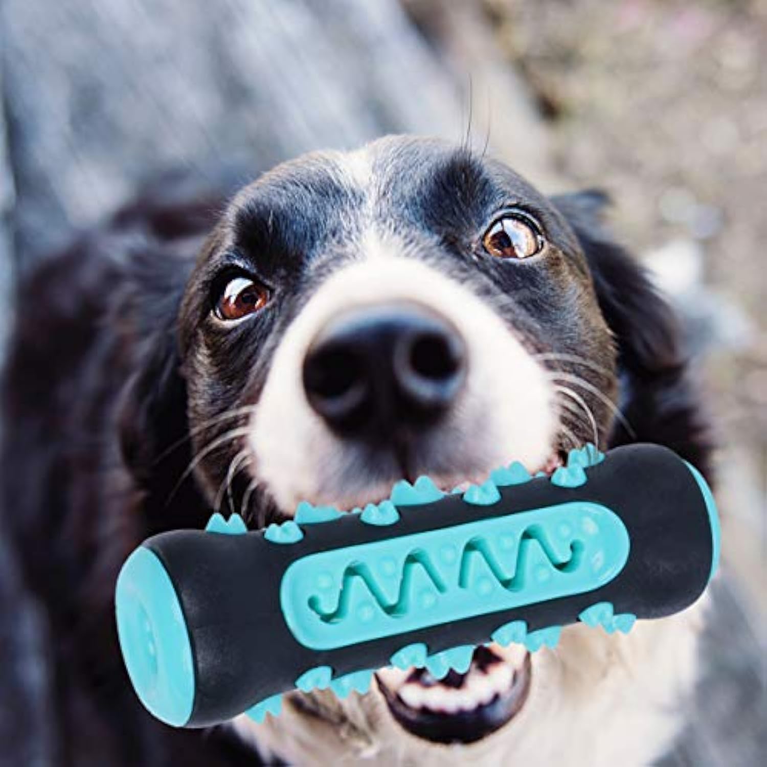 KFX-0669373 Natural Rubber Dog Toothbrush Chew Toy for Dental Cleaning and Teething Relief
