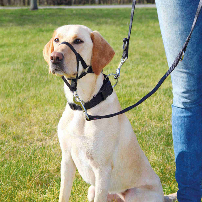 KFX-0671677 Adjustable Nylon Anti-Bite Dog Mouth Cover - Breathable Mask Available in Multiple Sizes