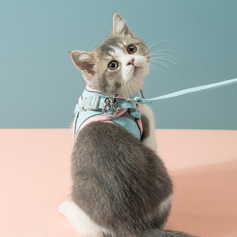 KFX-0676925 Adjustable Cat Traction Rope Chest Strap with Reflective Design for Small to Medium Pets