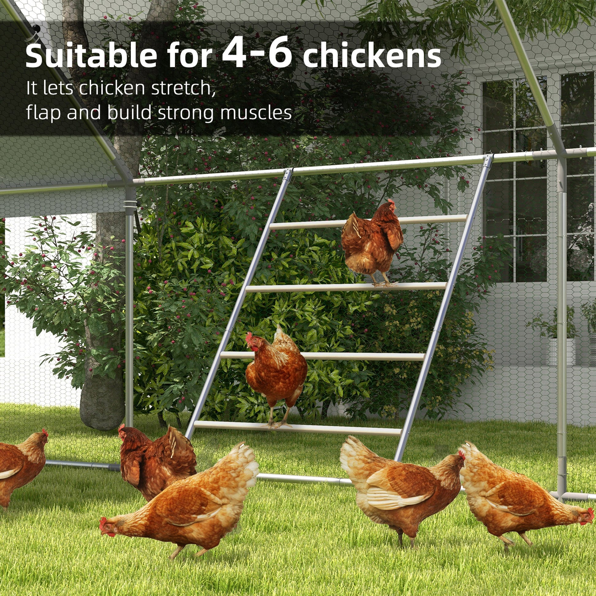 KFX-0687037 Multi-Tiered Chicken Roosting Ladder - Galvanized Steel & Wood, 55" x 33.75"