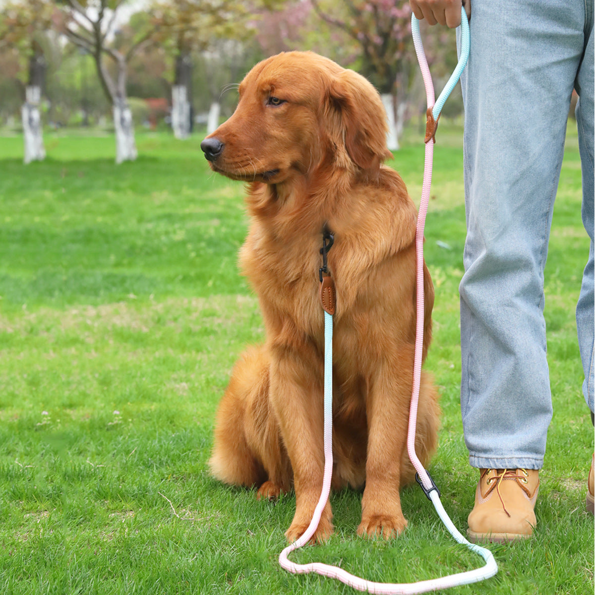 KFX-0687165 Multi-Purpose Reflective Nylon Pet Walking Rope for Dogs and Cats