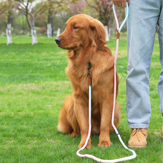 KFX-0687165 Multi-Purpose Reflective Nylon Pet Walking Rope for Dogs and Cats