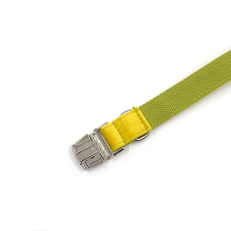 KFX-0691133 Stylish Yellow and Green Velvet Dog Collar for Comfortable Wear