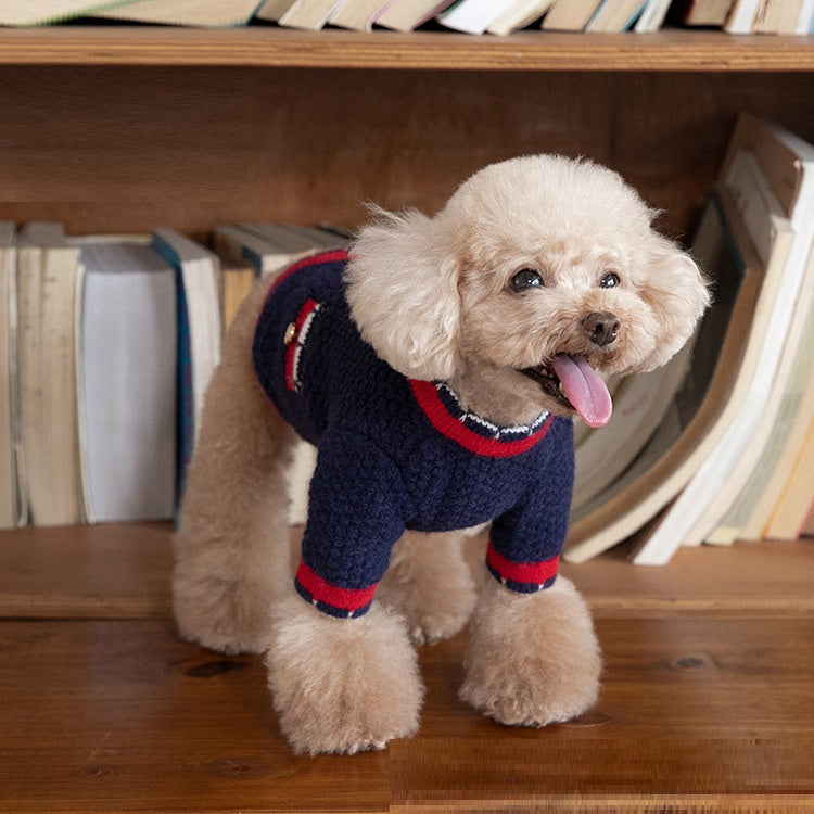 KFX-0696893 Classic Bejirog Stylish Sweater Cardigan for Pets in Blue and Pink, Sizes XS to 3XL