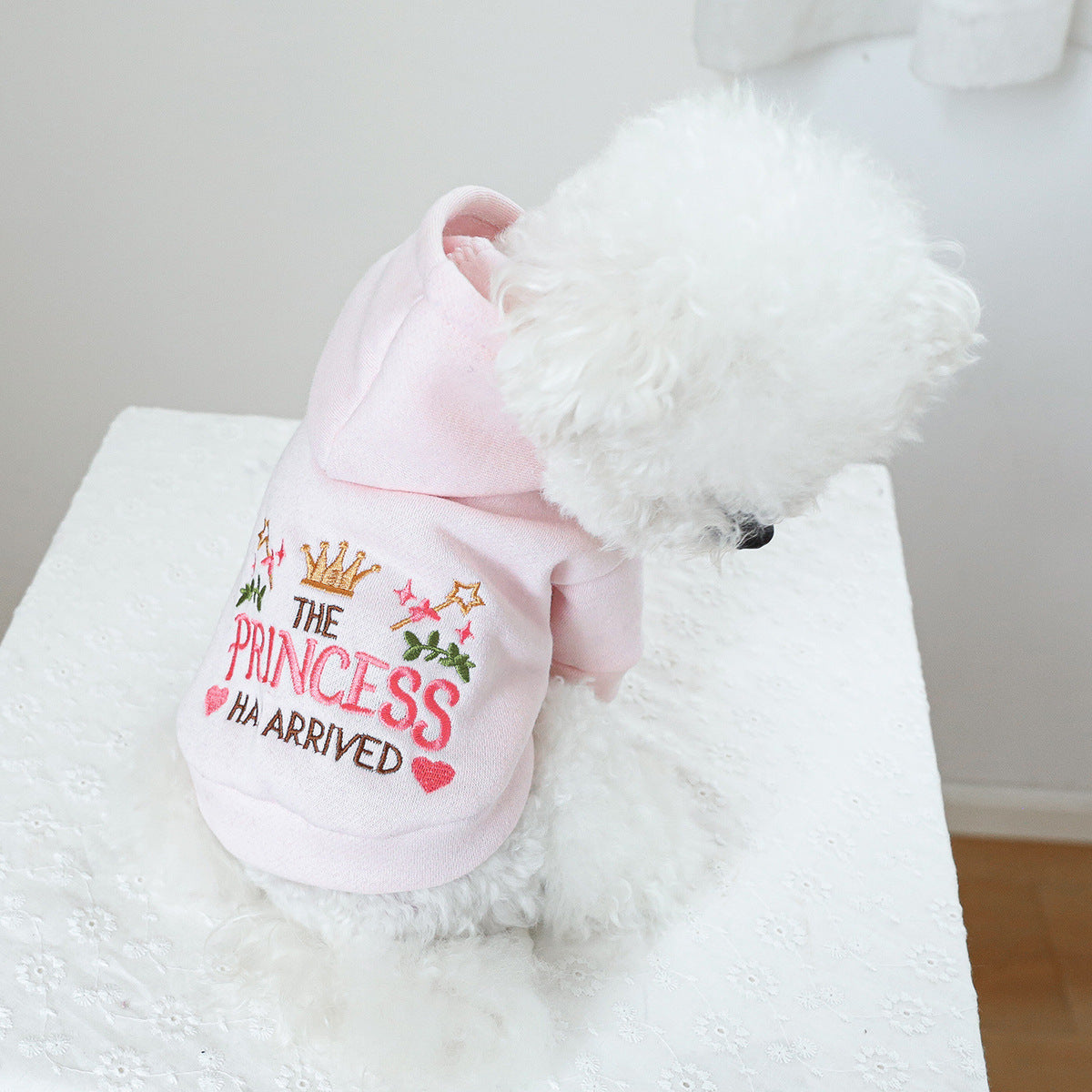 KFX-0702653 Hooded Little Princess Sweater for Dogs and Cats - Casual Pet Apparel