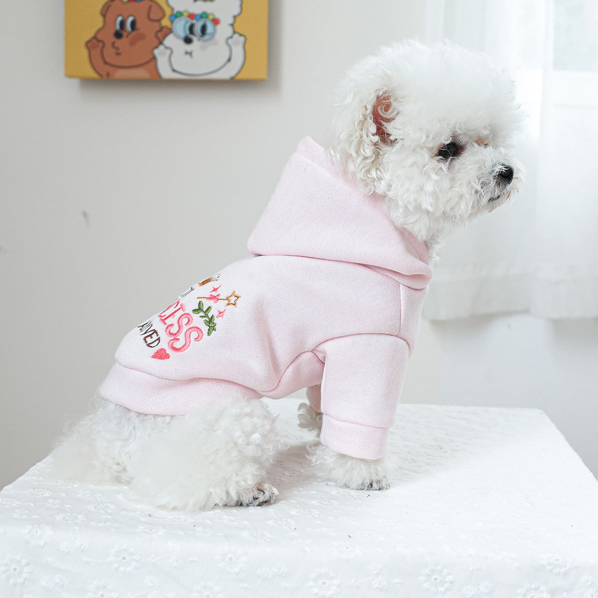 KFX-0702653 Hooded Little Princess Sweater for Dogs and Cats - Casual Pet Apparel