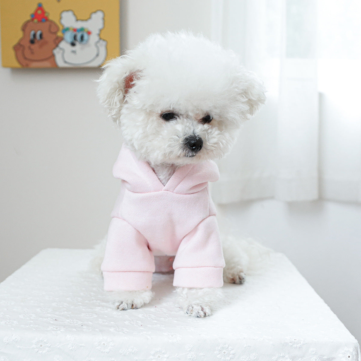 KFX-0702653 Hooded Little Princess Sweater for Dogs and Cats - Casual Pet Apparel