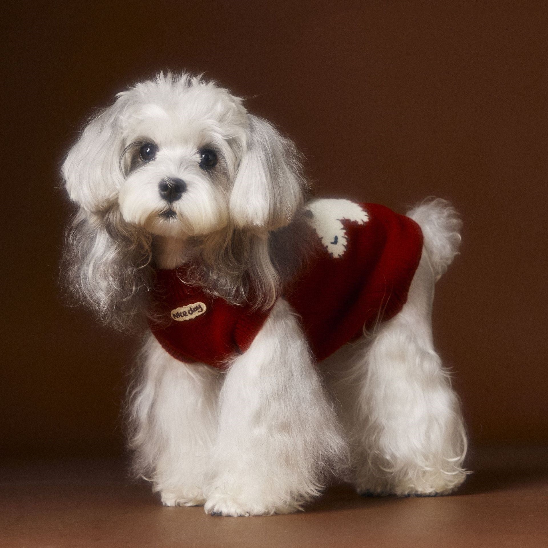 KFX-0709181 Schnauzer Teddy Bichon Cozy Sleeveless Wool Sweater Vest in Red and Beige