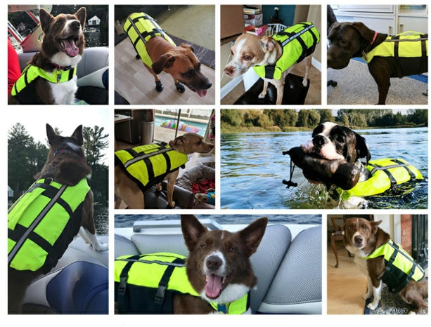 KFX-0714557 Inflatable Dog Life Jacket for Swimming Pool Safety - Adjustable Pet Vest