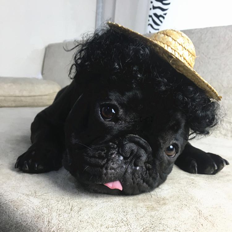 KFX-0715197 Adjustable Elastic Pet Wig for Dogs and Cats - Versatile Styling Options