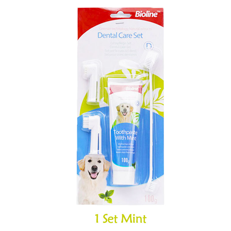 KFX-0723773 Natural Dog Toothpaste - Beef, Mint & Orange Flavors for Dental Care and Fresh Breath