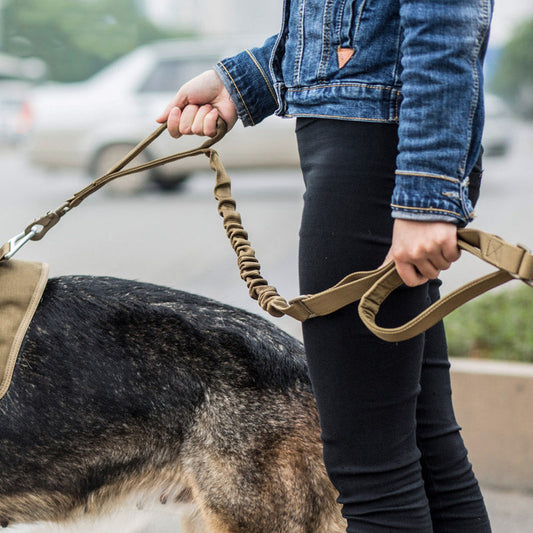 KFX-0725693 Adjustable Elastic Traction Rope for Dogs - Multiple Color Options Available, Two Lengths