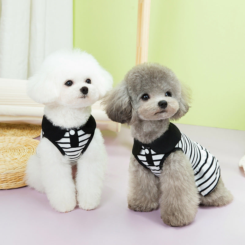 KFX-0726461 Casual Pet T-shirt and Skirt Set for Dogs - Various Sizes Available