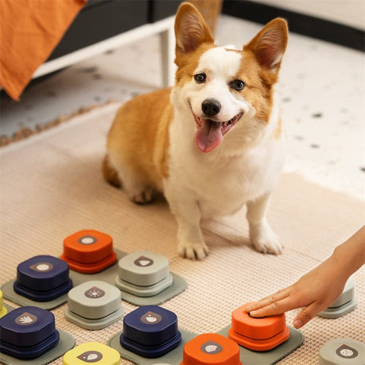 KFX-0726717 Pet Communication Button - Recordable One-Click Toy for Dogs and Cats, Durable and Portable with Multiple Color Options