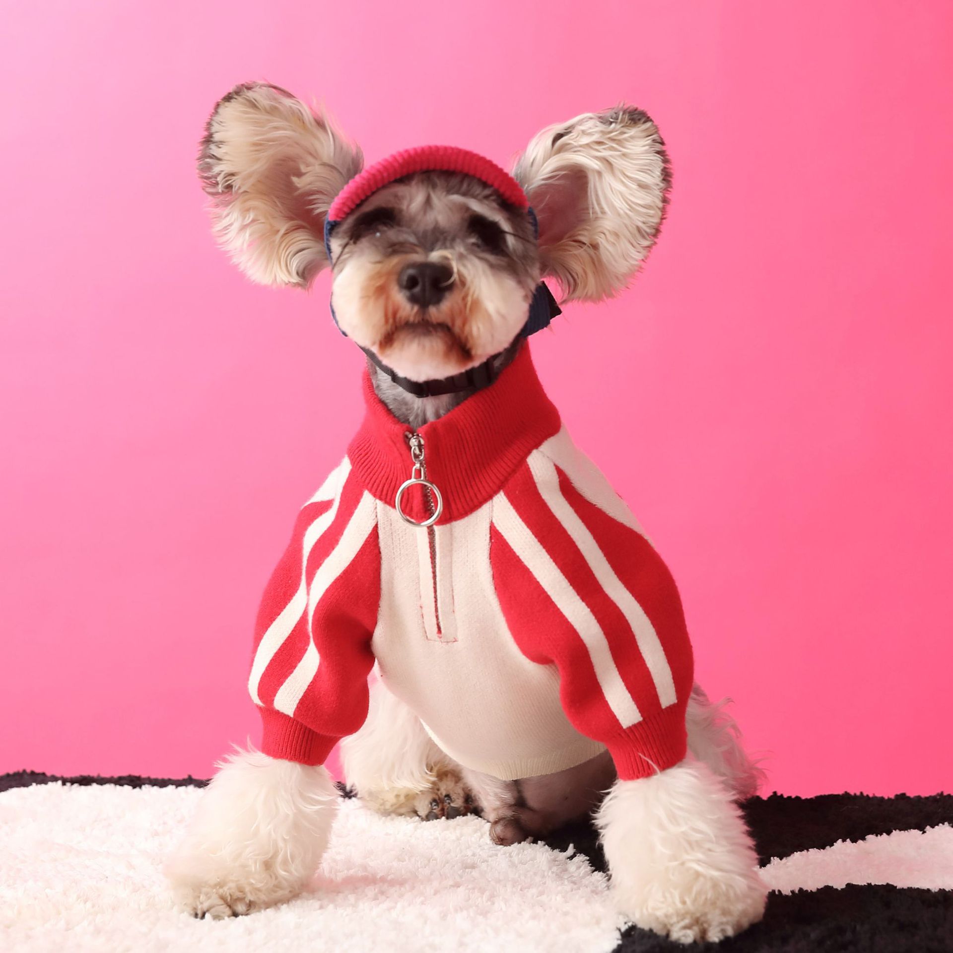 KFX-0729661 Cozy Wool Cardigan Sweater for Pets in Red and Dark Green