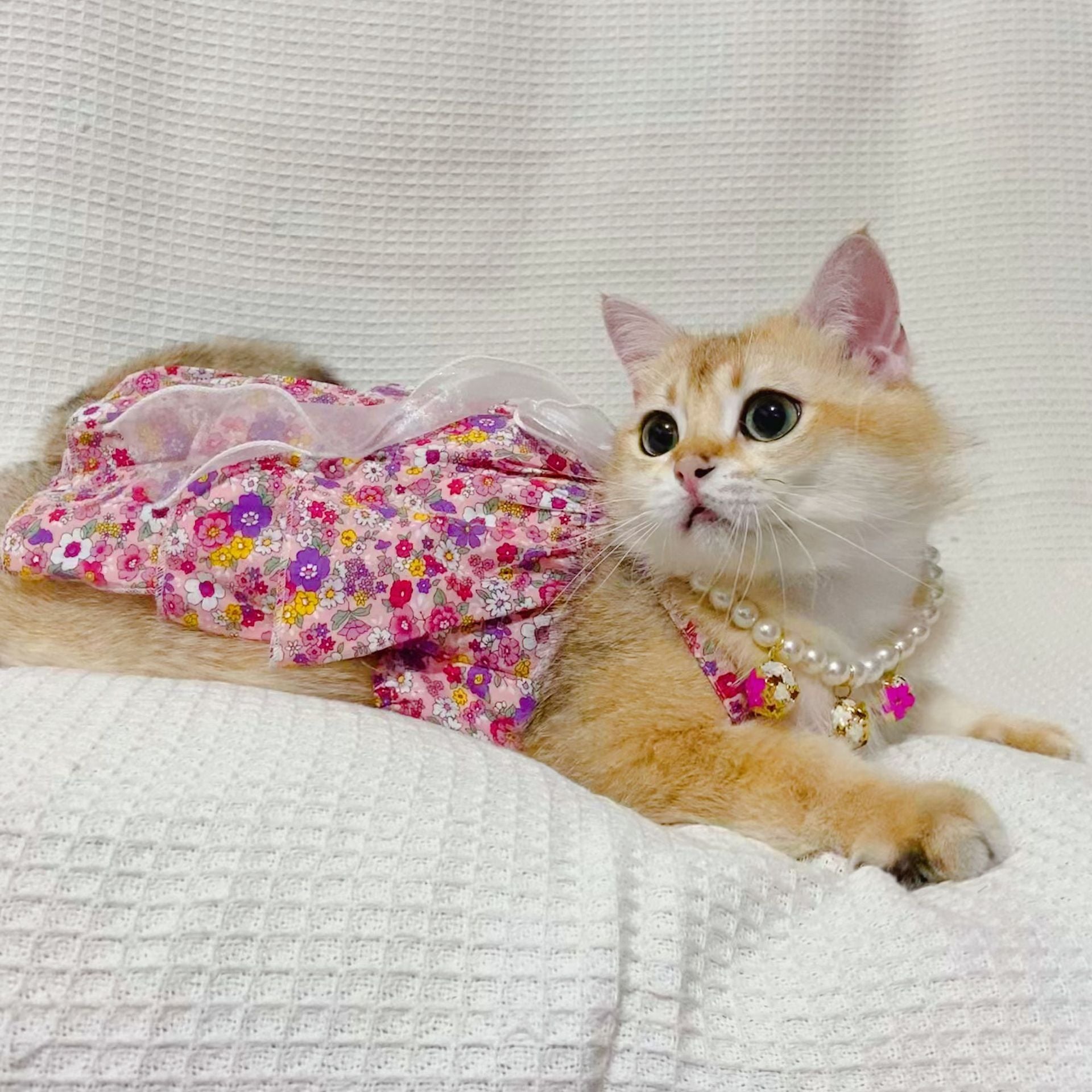 KFX-0730045 Floral Cotton Slip Dress with Mesh Skirt for Pets - Suitable for Cats and Dogs