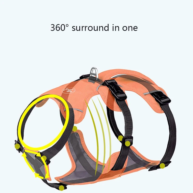 KFX-0730941 Reflective Nylon Dog Leash with Anti-Breaking Feature in Multiple Colors