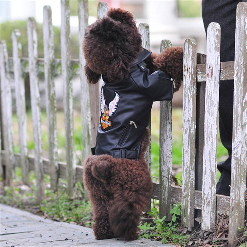 KFX-0737085 Embroidered Eagle Design Small Dog Jacket in Chocolate Black Faux Leather