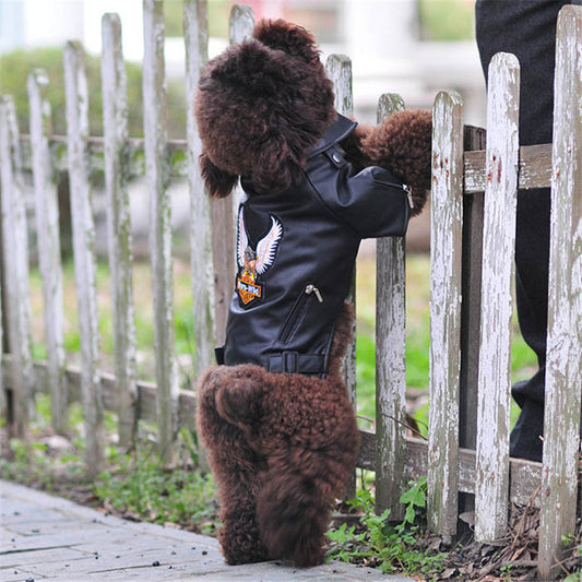 KFX-0737085 Embroidered Eagle Design Small Dog Jacket in Chocolate Black Faux Leather