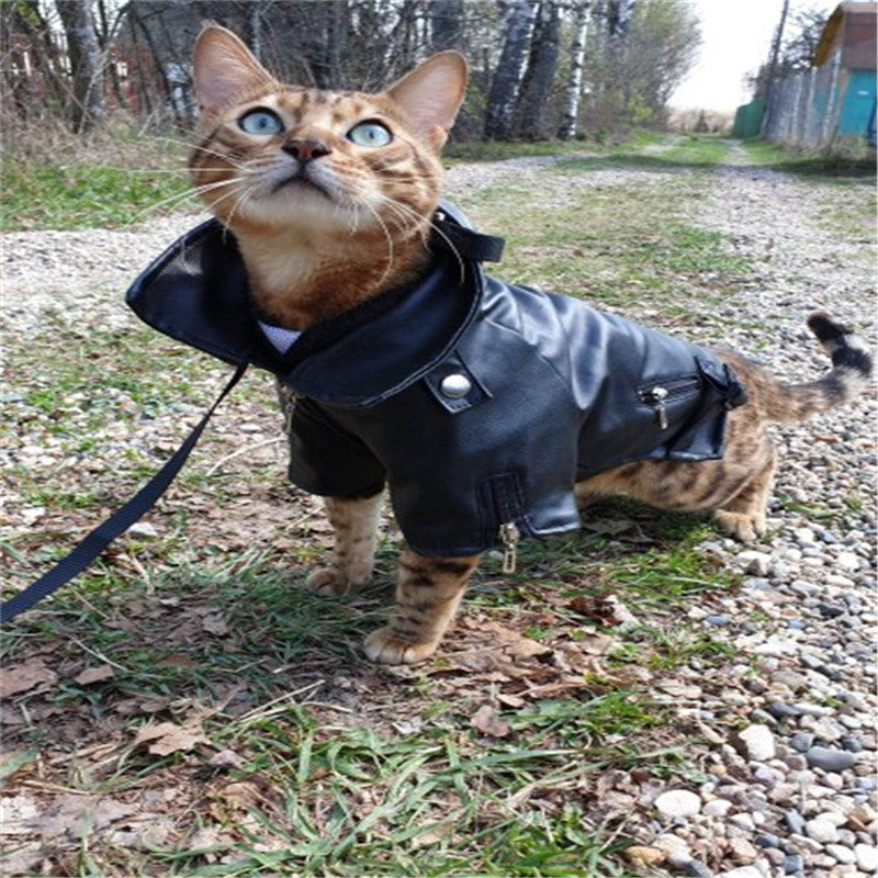 KFX-0737085 Embroidered Eagle Design Small Dog Jacket in Chocolate Black Faux Leather