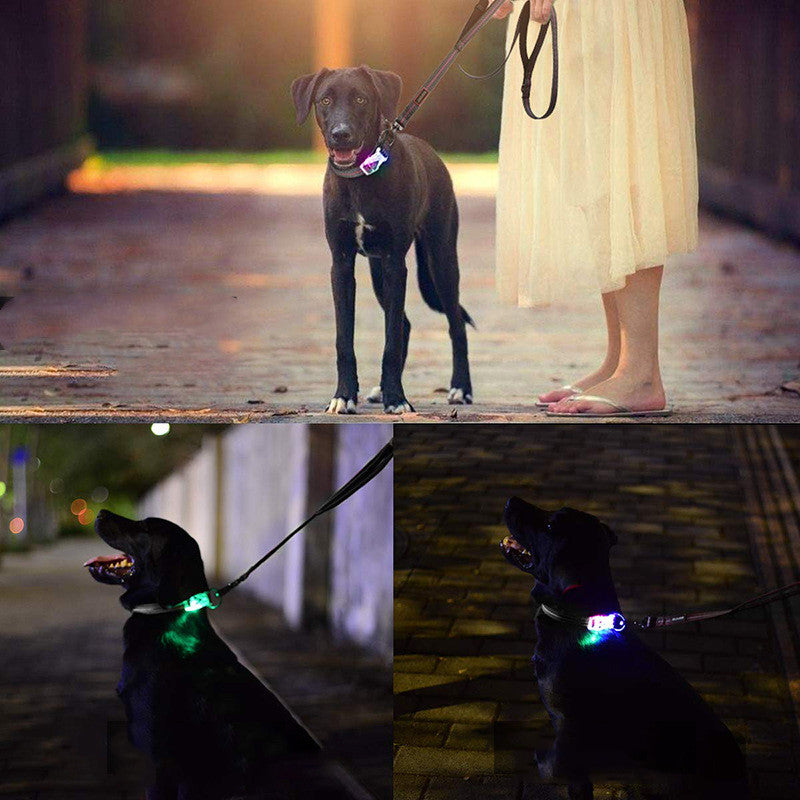 KFX-0739389 Luminous Nylon Reflective Pet Collar Leash with Multi-Flash Modes