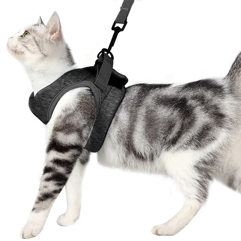 KFX-0742461 Lightweight Breathable Cat Leash and Chest Strap in Multiple Colors