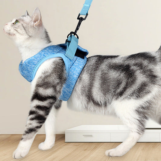 KFX-0742461 Lightweight Breathable Cat Leash and Chest Strap in Multiple Colors