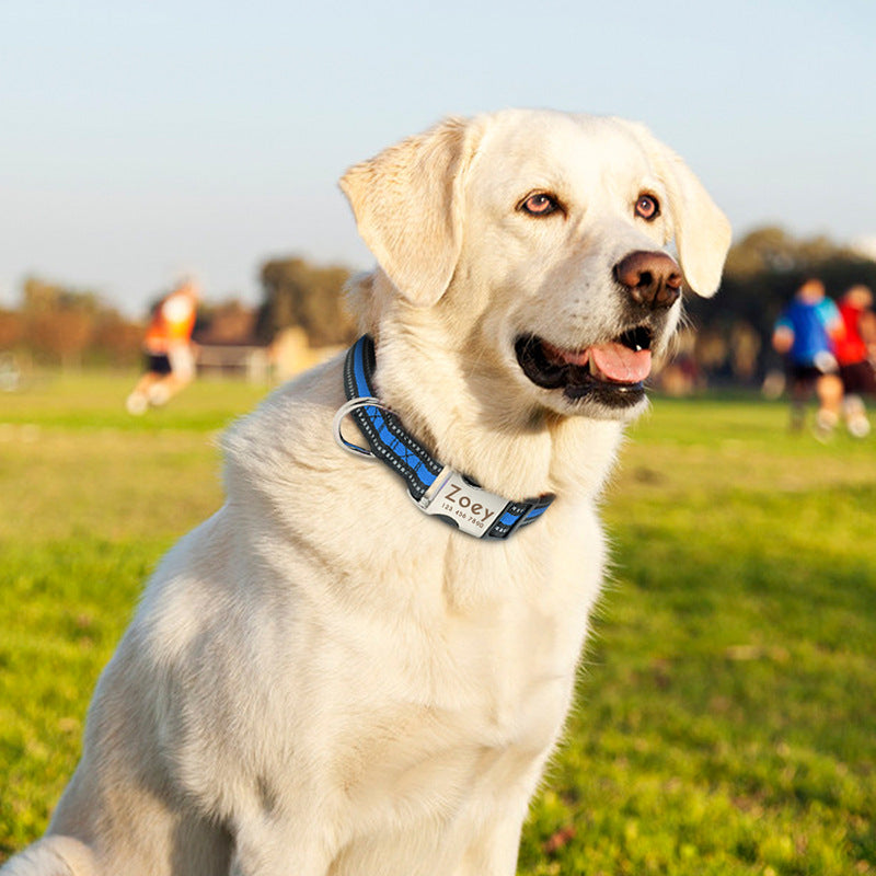 KFX-0745149 Lightweight & Comfortable Dog Lettering Collar with Golden Buckle - Adjustable Size in S/M/L