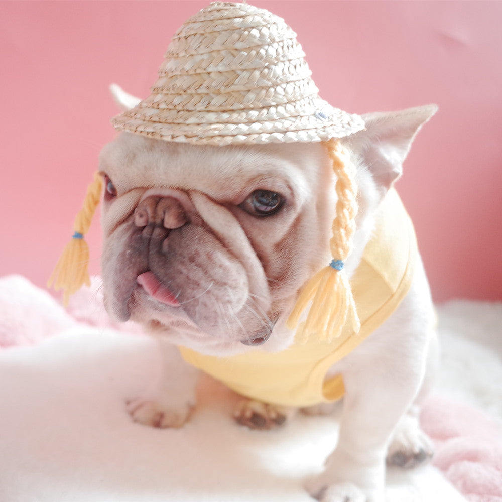 KFX-0745533 Double Braid Straw Hat for Dogs and Cats – Bamboo & Rattan, Available in Yellow and Black