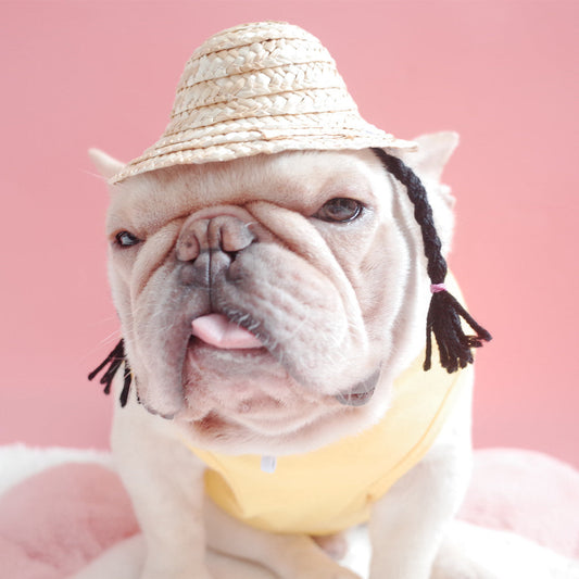 KFX-0745533 Double Braid Straw Hat for Dogs and Cats – Bamboo & Rattan, Available in Yellow and Black