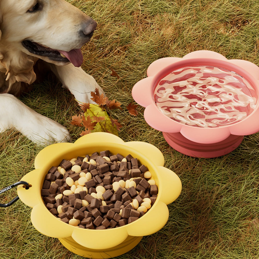 KFX-0760637 Portable Silicone Pet Folding Bowl - Outdoor Drinking Bowl in Pink and Yellow