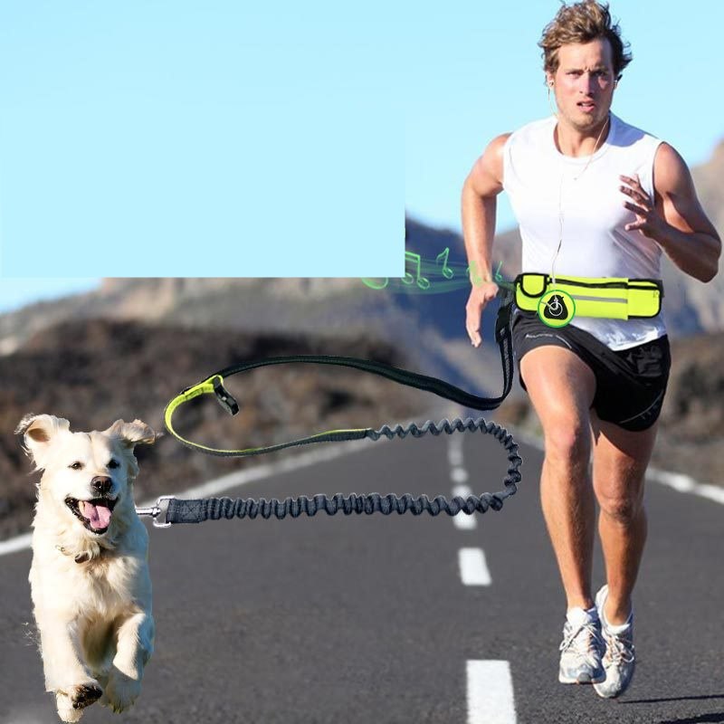 KFX-0764221 Adjustable Hands-Free Dog Running Leash with Reflective Waist Pocket and Shock Absorbing Bungee