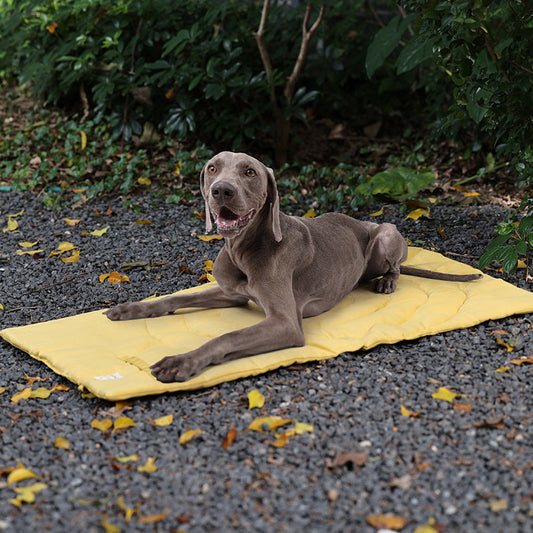 KFX-0772029 Waterproof Foldable Cotton Dog Kennel Mattress in Multiple Colors