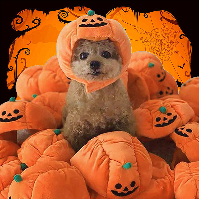 KFX-0780733 Cute Pumpkin Hat for Pets - Animal Costume in Polyester, Available in Two Sizes