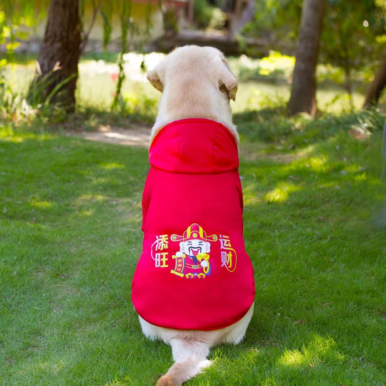 KFX-0780989 Comfortable Dog Sweatshirt in Red, Blue, and Yellow for Medium to Extra Large Breeds