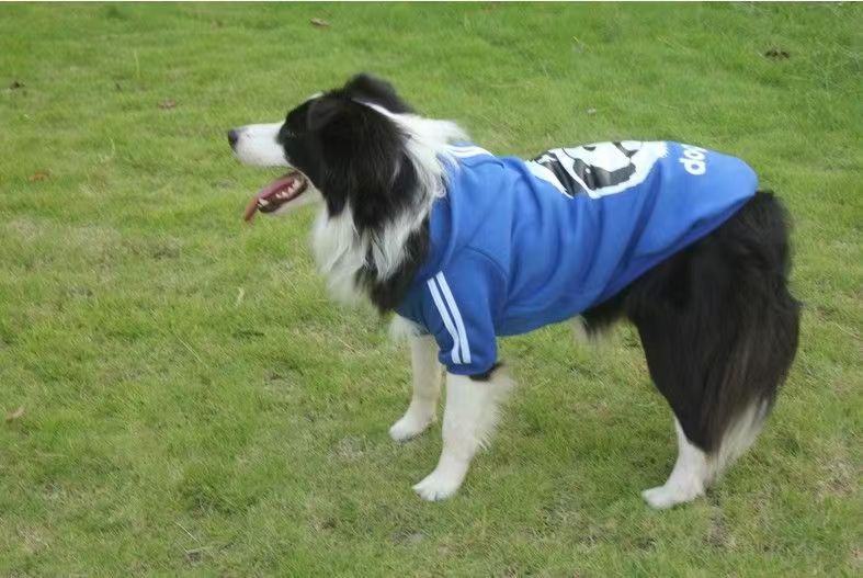 KFX-0780989 Comfortable Dog Sweatshirt in Red, Blue, and Yellow for Medium to Extra Large Breeds