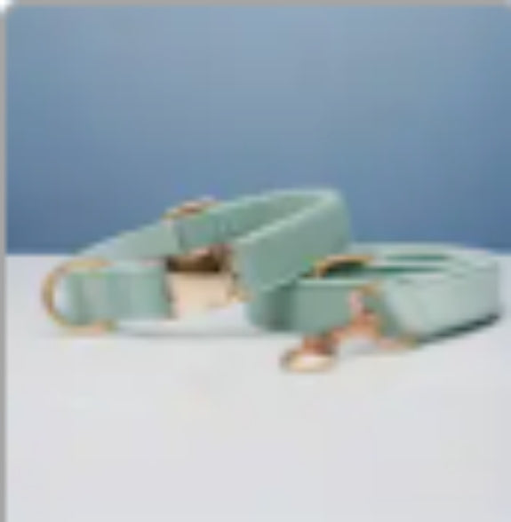 KFX-0789437 Multiple Color Velvet Dog Collar and Leash Set with Bow Tie