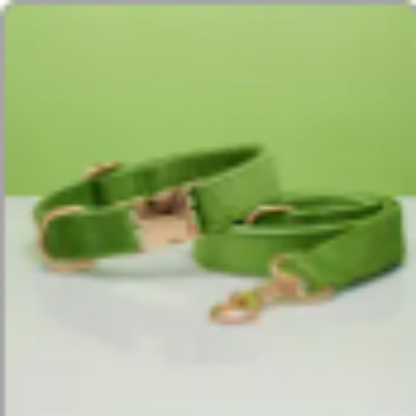KFX-0789437 Multiple Color Velvet Dog Collar and Leash Set with Bow Tie