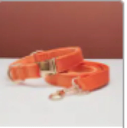 KFX-0789437 Multiple Color Velvet Dog Collar and Leash Set with Bow Tie