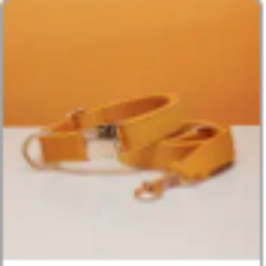 KFX-0789437 Multiple Color Velvet Dog Collar and Leash Set with Bow Tie
