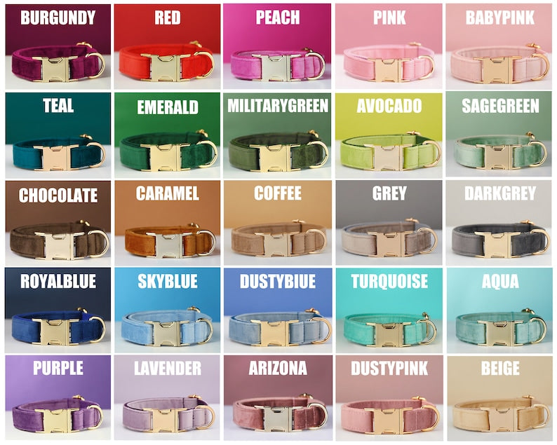 KFX-0789437 Multiple Color Velvet Dog Collar and Leash Set with Bow Tie