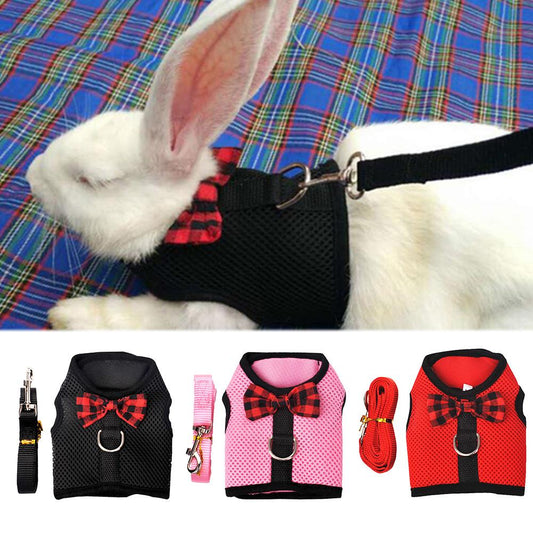 KFX-0790717 Breathable Mesh Chest Harness with Traction Rope for Rabbits – Adjustable and Comfortable