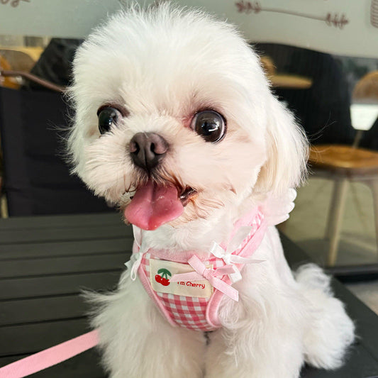 KFX-0802621 Pet Chest and Back Harness with Hand Holding Rope for Small Dogs - Cotton Material, Available in Pink and Black, Sizes XS to 2XL