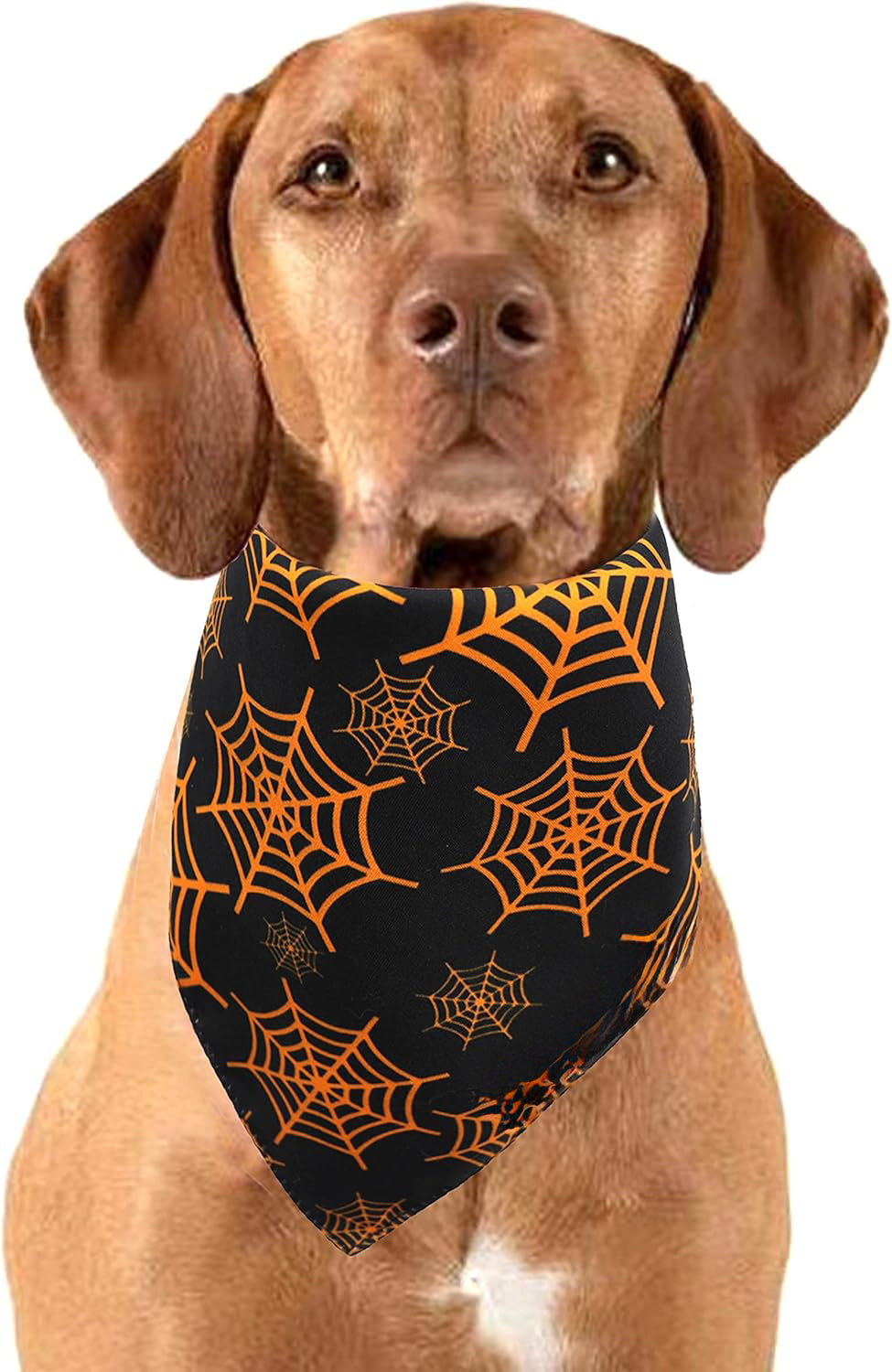 KFX-0806205 Reversible Halloween Dog Bandana with Pumpkin and Spider Web Design, Adjustable Fit for Neck Sizes up to 16 inches