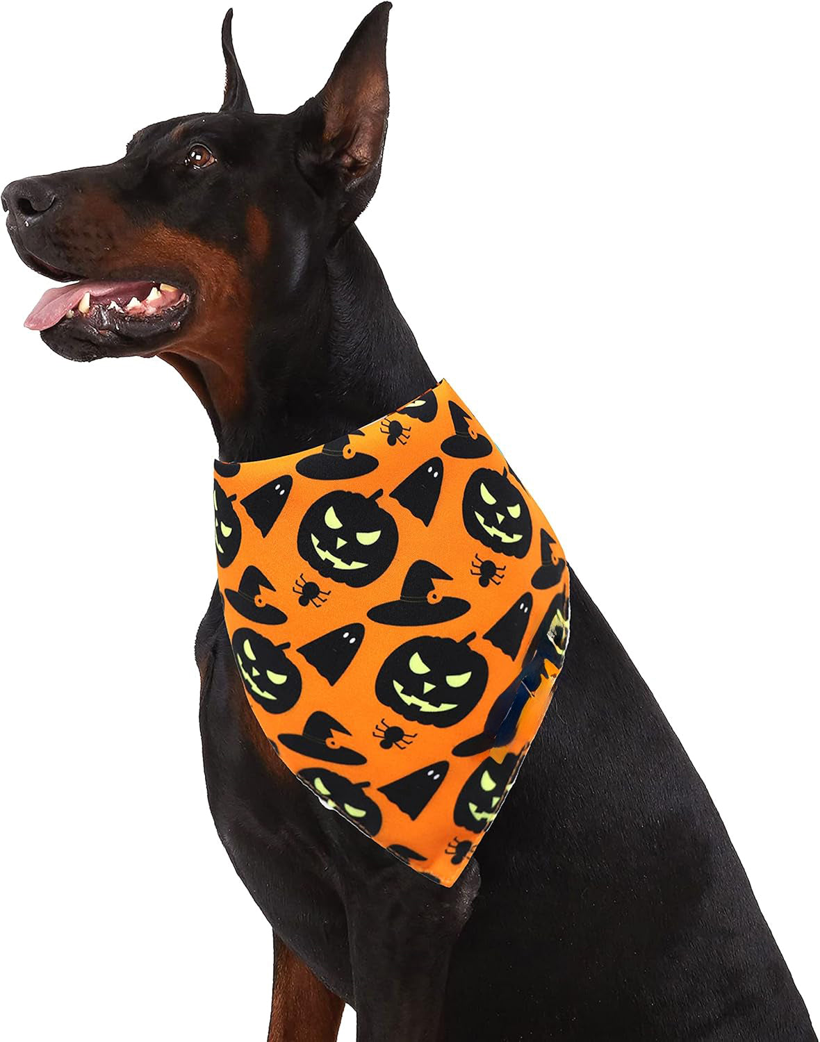 KFX-0806205 Reversible Halloween Dog Bandana with Pumpkin and Spider Web Design, Adjustable Fit for Neck Sizes up to 16 inches