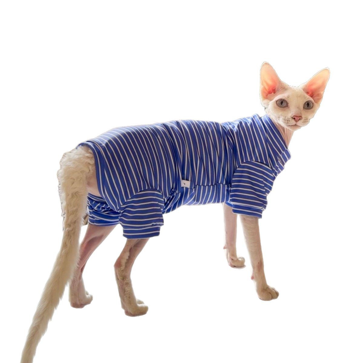 KFX-0807357 Breathable Four-Legged Cat Clothing in Blue, Purple, Yellow, and Brown - Casual Polyester Pet Outfit