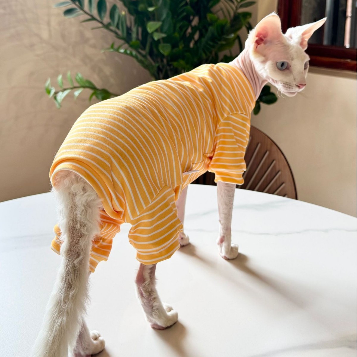 KFX-0807357 Breathable Four-Legged Cat Clothing in Blue, Purple, Yellow, and Brown - Casual Polyester Pet Outfit